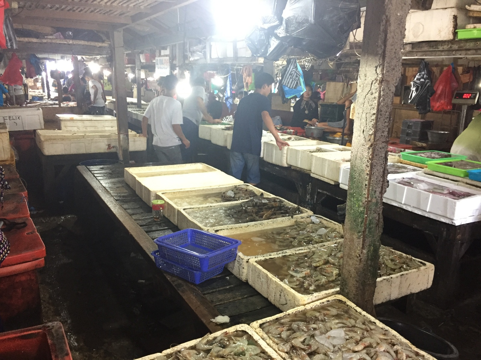 Life in Indonesia. Bali. Part 5. Fish market. - My, Fabulous bali, Indonesia, Bali, Longpost