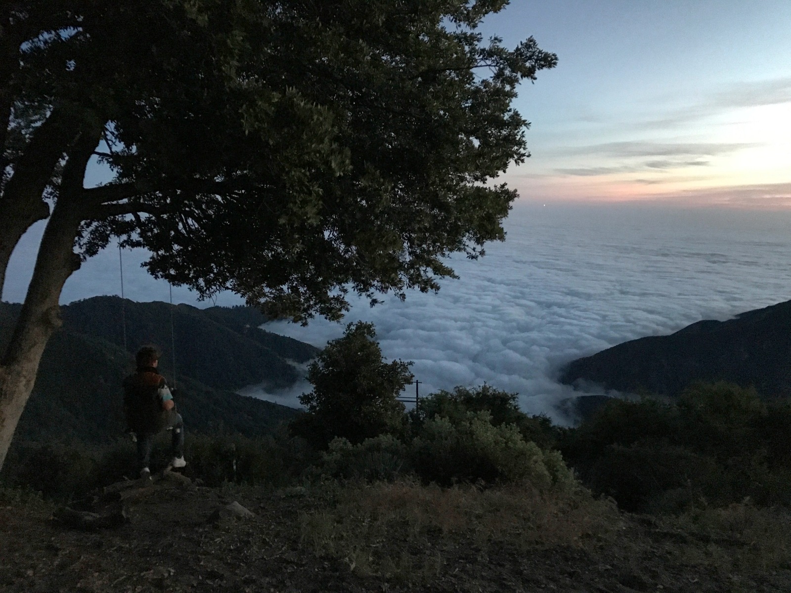 Higher than clouds. - My, USA, Travels, The photo, Pasadena, Observatory, , Nature, Longpost