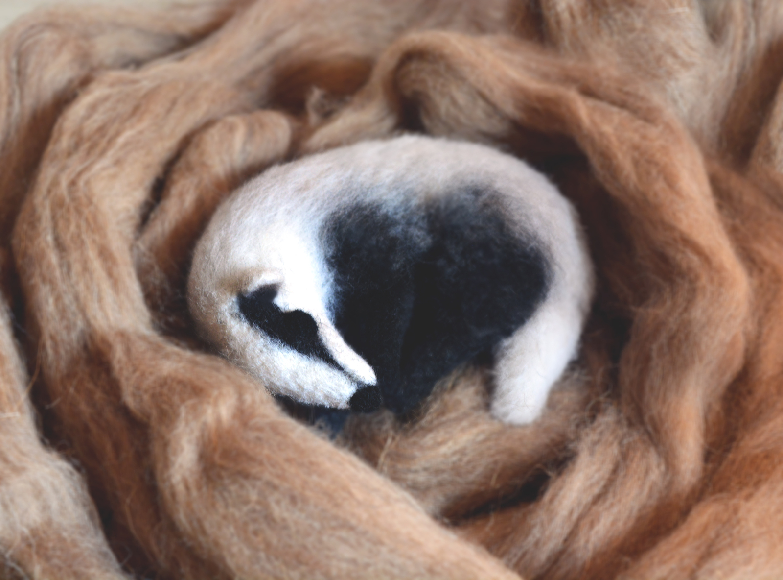 Wool badger - My, Wool, Felt, Dry felting, Badger, Needlework without process, Longpost