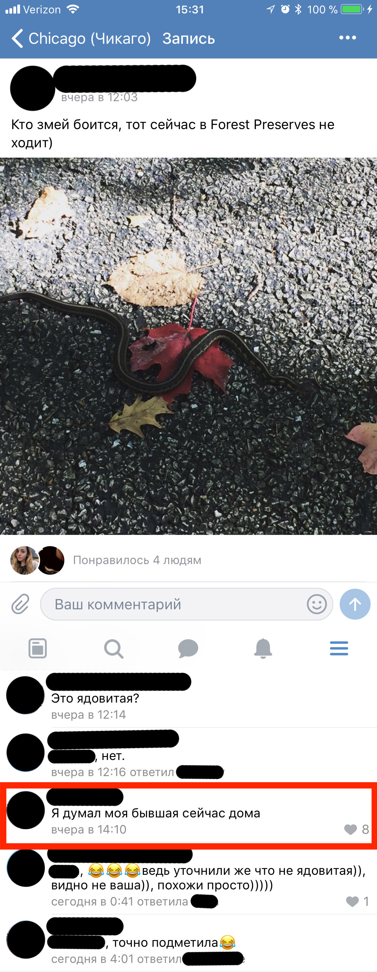 In one of the local groups in VK. - My, Girls, Snake, Humor, VK group, Longpost, Public