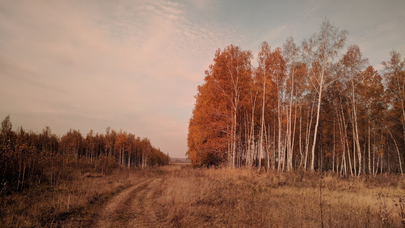 Autumn - My, Autumn, The photo, Autumn mood, Longpost