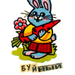 Henavizhy