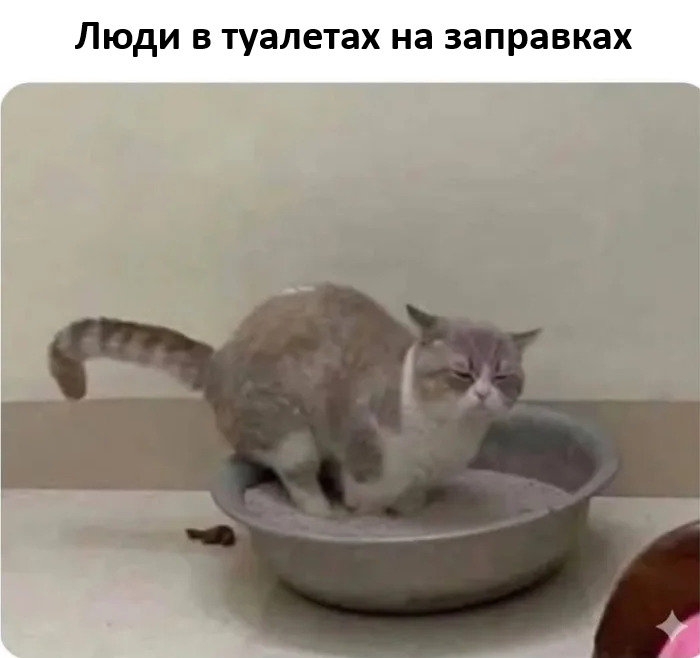 ����