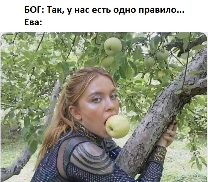 ������� ������ �������