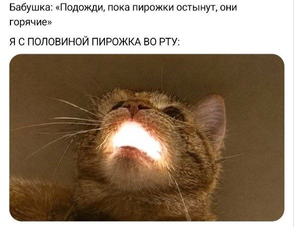 ��������� �������