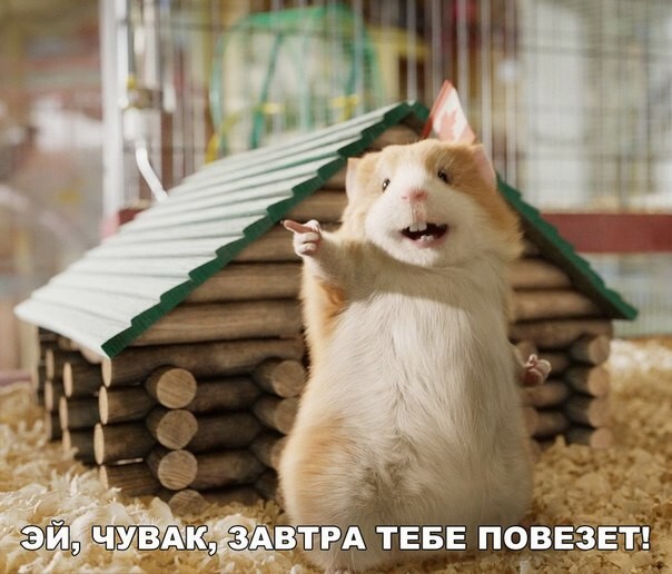 ����� ��� ����� 😁