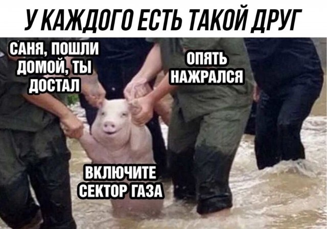 ������