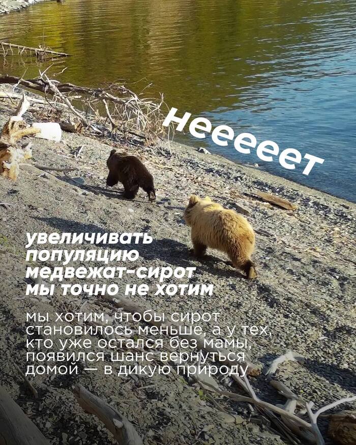 Ответ на пост «Реклама, беспощадная тупая)»