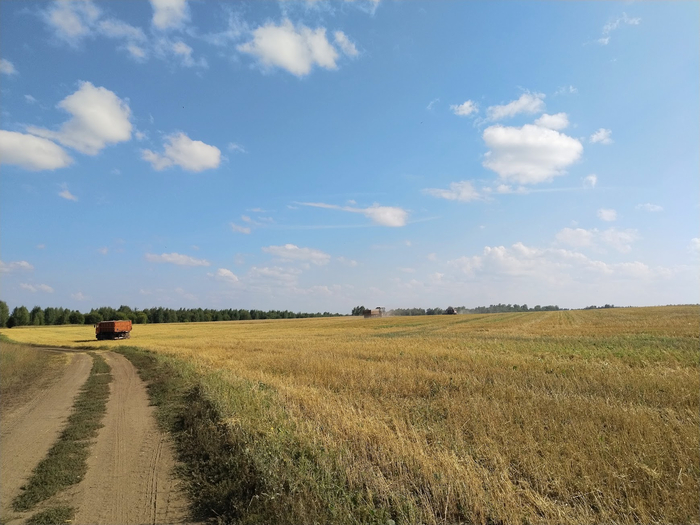 Уборка урожая в разгаре