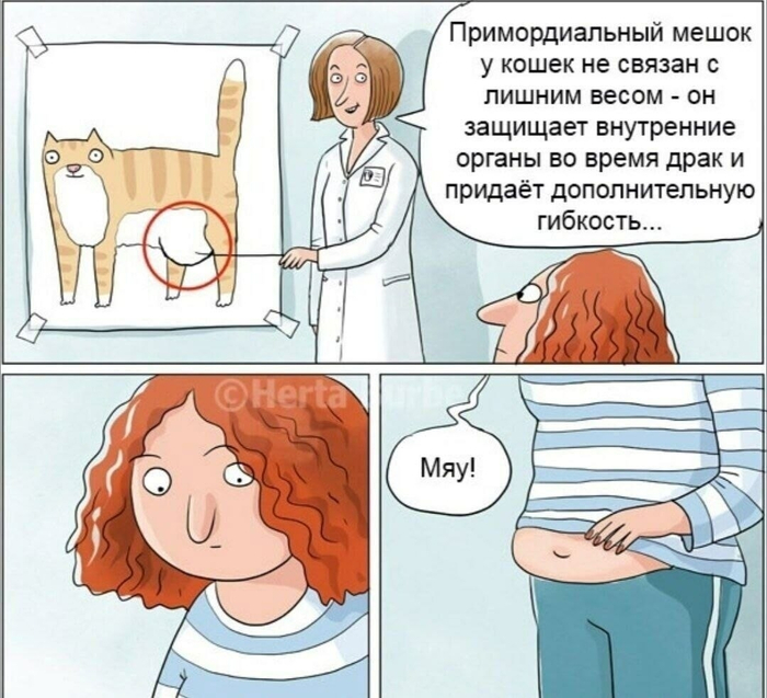 Ну почему люди не кошки(((