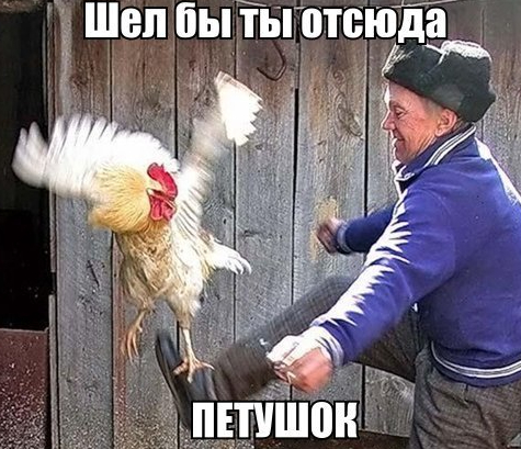 Я думаю, батя как-то так думал, когда рассматривал его кандидатуру