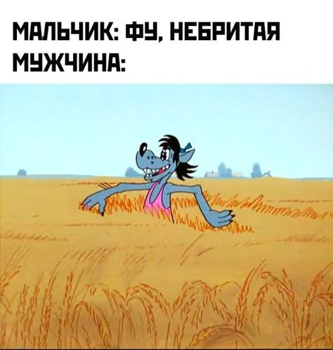 ����� �� ���� ������ �������