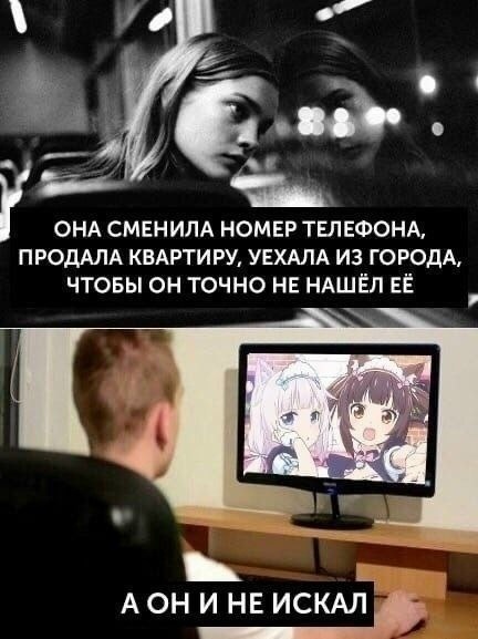 Всё зря