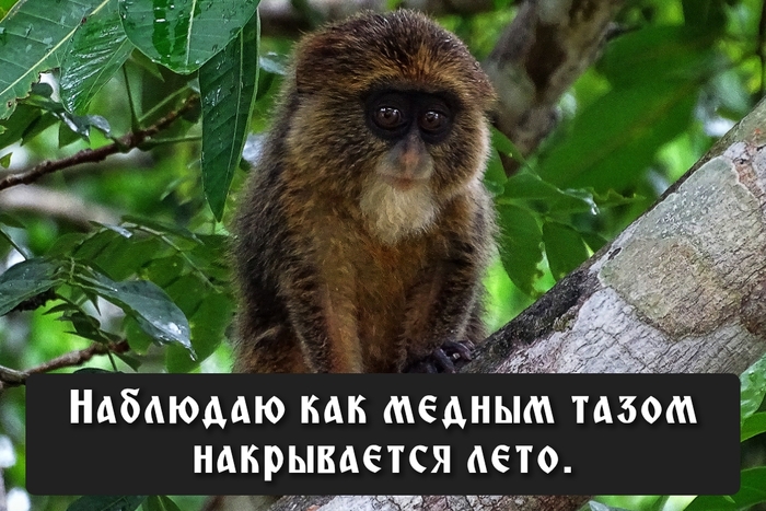 Лето