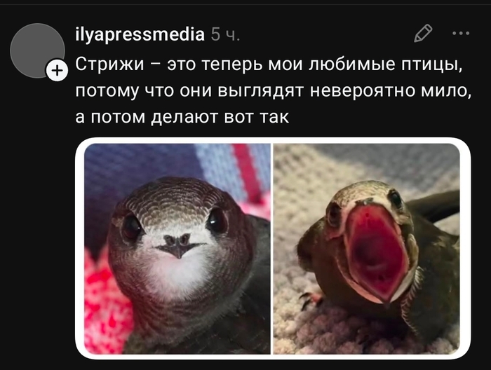 ��,�� ����� ������ ������������,��� � ����