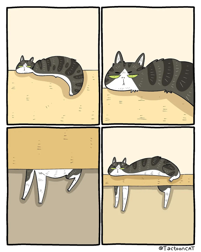 ������� �����
