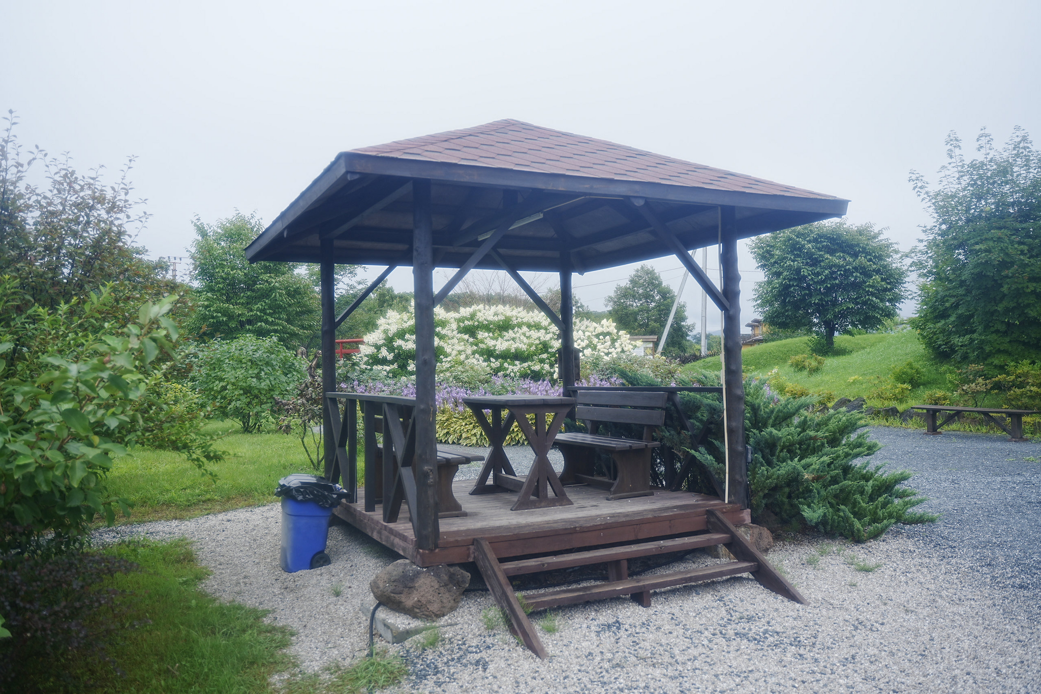 Japanese gardens near Nakhodka, morning after rain - My, Primorsky Krai, Photographer, City Nakhodka, Japanese Garden, Kappa, Spider, Longpost