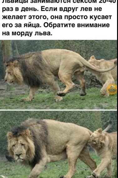Жизнь боль