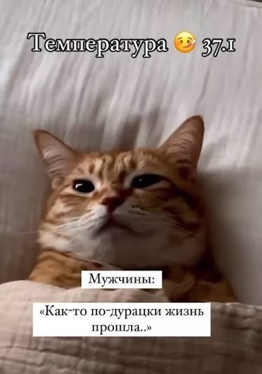 ��� �� �� ��������, ����������� 37,4 �����. ��� � ������