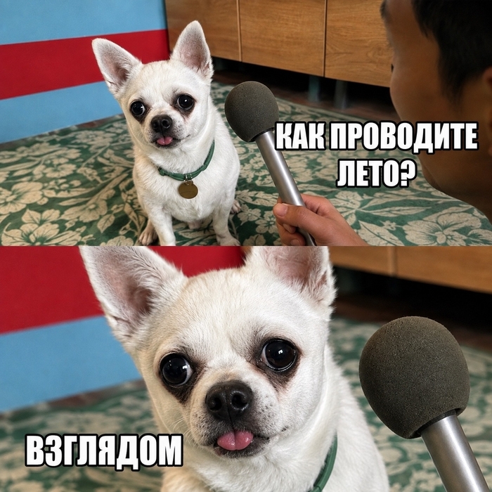 ��� ���� ����?