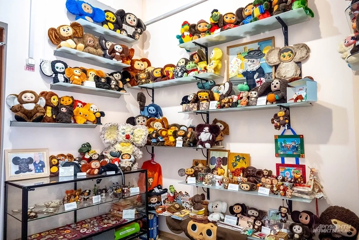� ��� / ���� ��������