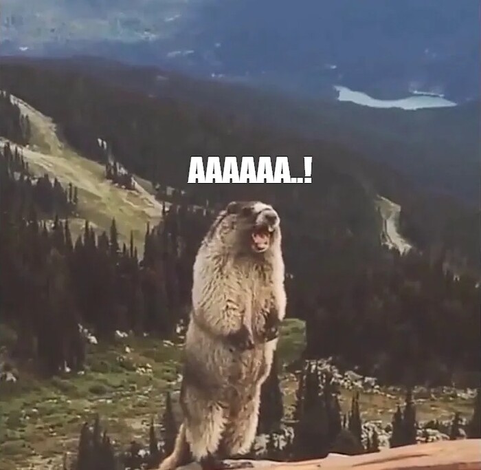 ����� ��� ����������