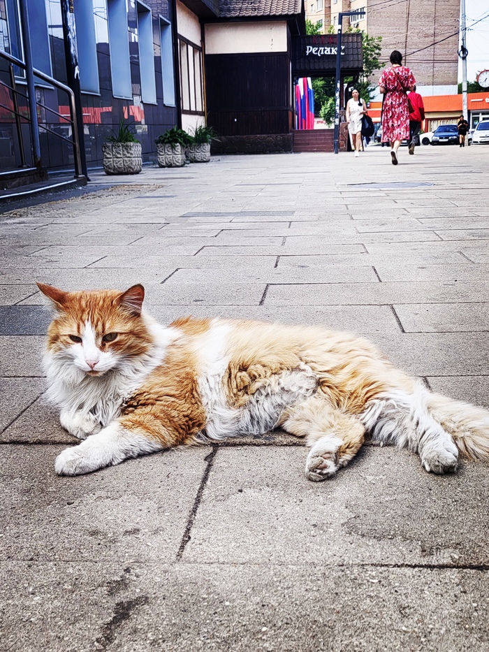 �������