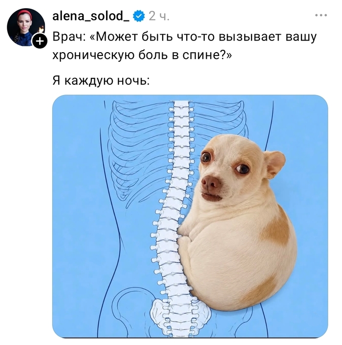 Да как-то так