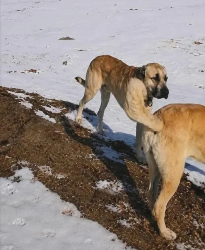 Так... Стоп...