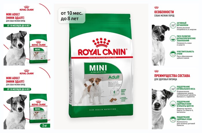 ����� ���� ��� ����� Royal Canin Mini Adult ��� ������ �����, 2 ��