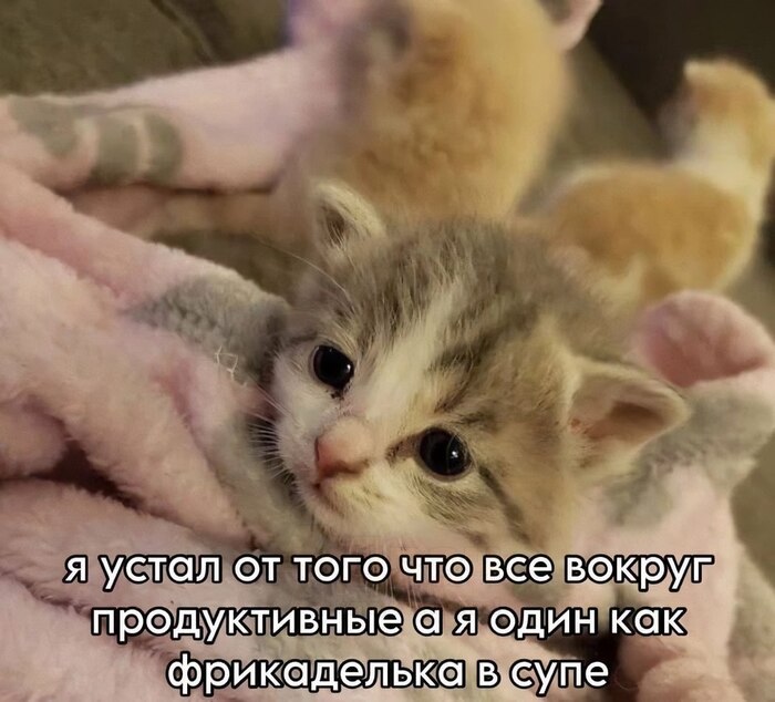 Конец рабочей недели