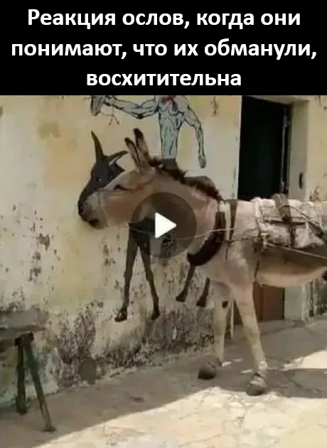 � ������� ��� ����� ?