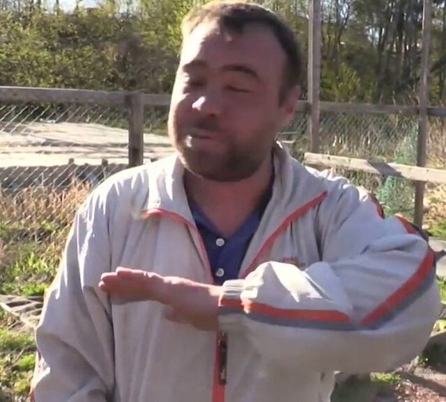 По тротуару и газону