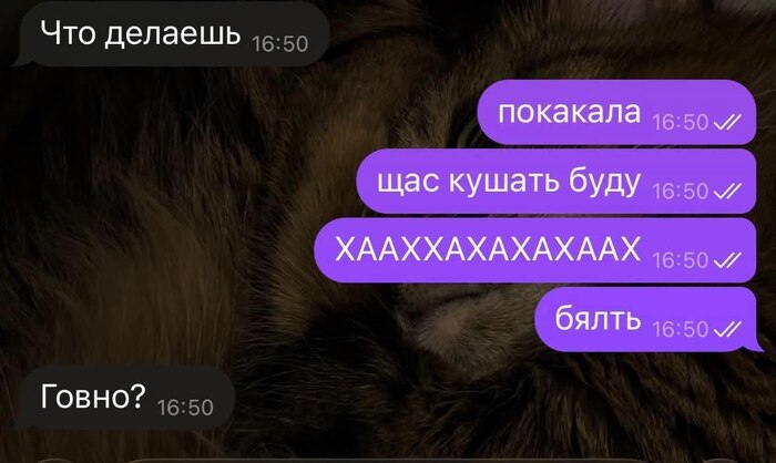 �������� ...
