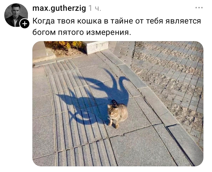 А у вас дома она просто отдыхает