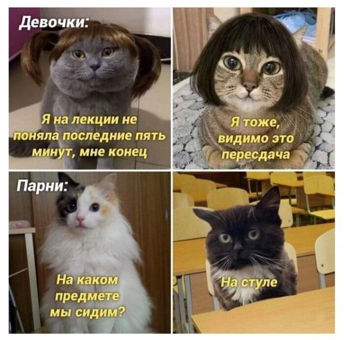 ����� � ��������