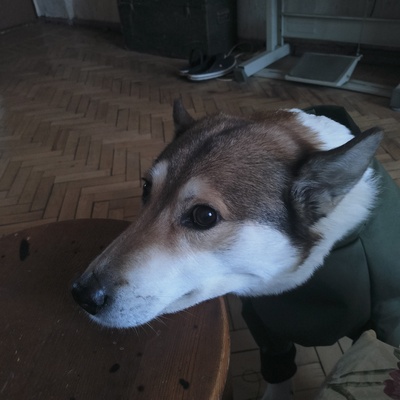 Иллюстрация к комментарию