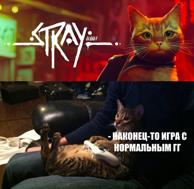 Как минимум еще парочка игр про котанов после stray уже вышла - мир меняется :)