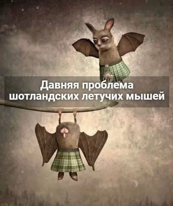 Летучая мышь