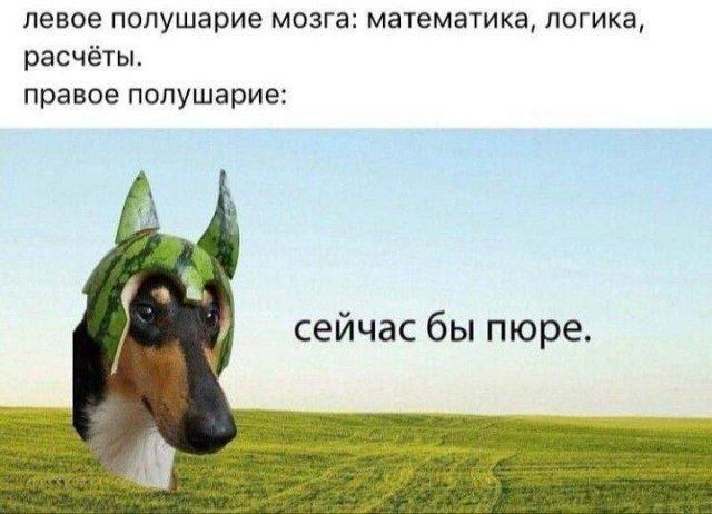 С котлетой