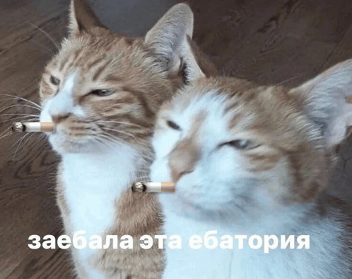Как же