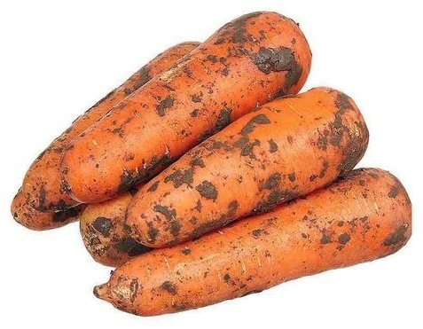 Морковь здорового человека