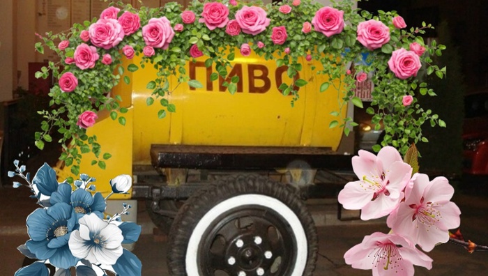 Немного красивых фоток в ленту...