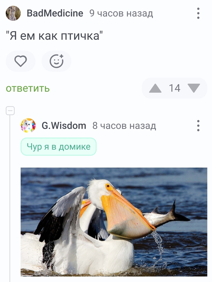 <a href="https://pikabu.ru/story/em_kak_ptichka_no_est_nyuans_14279229?u=https%3A%2F%2Fpikabu.ru%2Fstory%2Fprodolzhenie_posta_pereevreil_14277227%3Fcid%3D402722130&t=%23comment_402722130&h=5361c91f15ac9c7947af0dc1e2322468c31b7c25" title="https://pikabu.ru/story/prodolzhenie_posta_pereevreil_14277227?cid=402722130" target="_blank" rel="noopener">#comment_402722130</a>