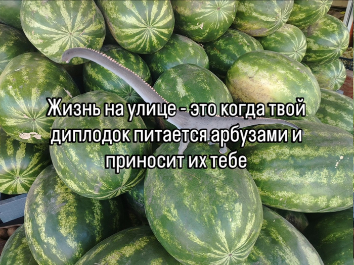 Введите описание к изображению (не обязательно)