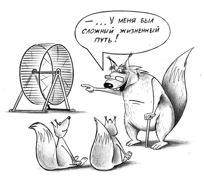 Без названия