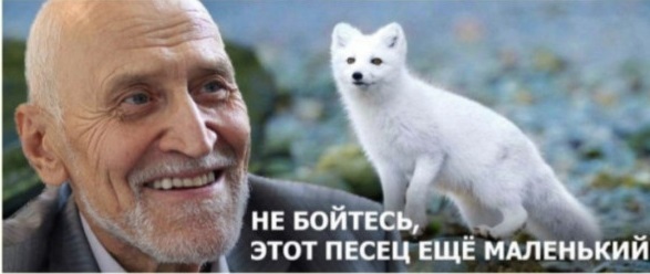 ������� ���� �� �����...