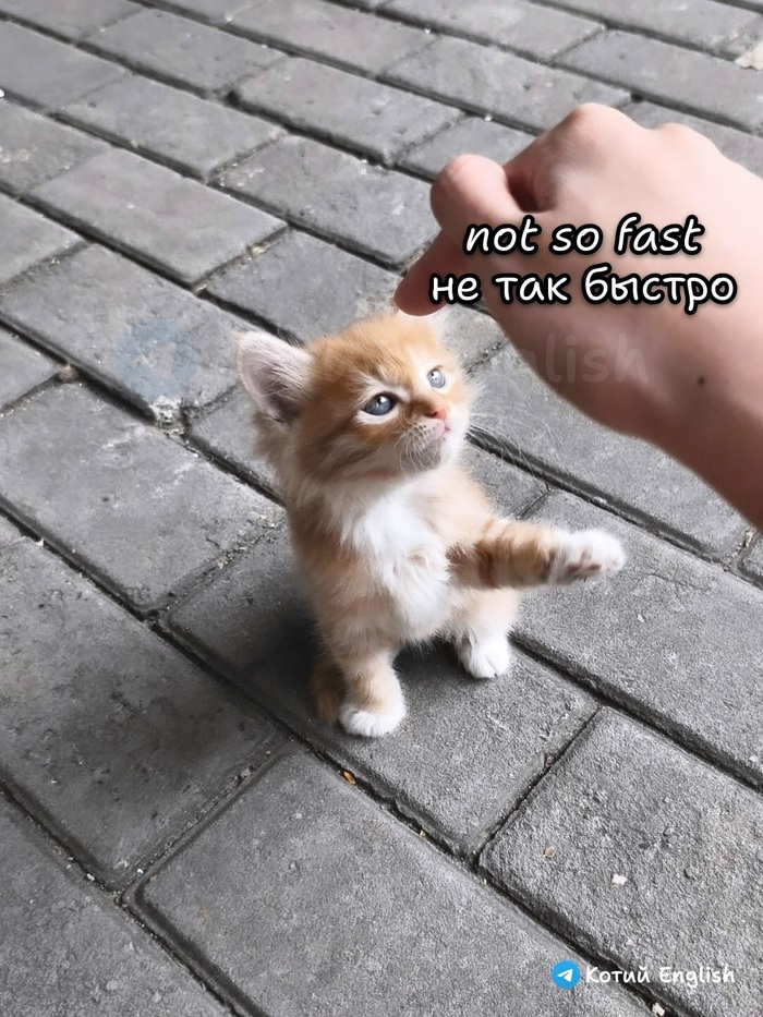 Не так быстро