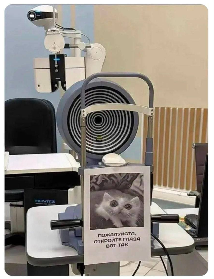 Instructions - Humor, Picture with text, cat