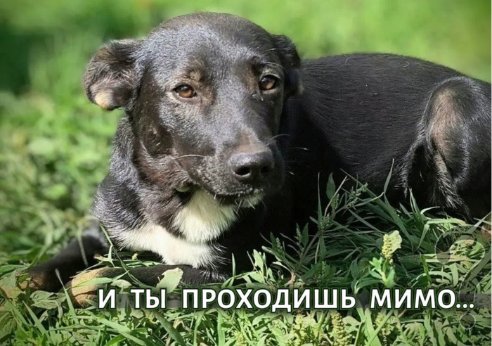 М И Я девочка возраст чуть больше года